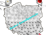 Polska w kwiatach
