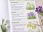 Wiosna Start! Mini‑podręcznik obserwacji przyrody na marzec