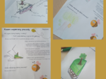 Wspieramy pszczoły - karta pracy #beeYOPE