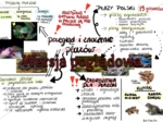 Sketchnotka - Przegląd i znaczenie płazów - klasa 6