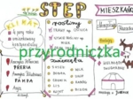 Step (3 karty pracy)