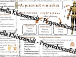 Sketchnotka - notatka „Aparat ruchu. Budowa szkieletu” wykonana w power point do edycji. Biologia 7; „Aparat ruchu”