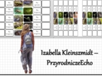 Notatka okienkowa „Przegląd i znaczenie płazów” w pdf. Biologia 6 dział „Kręgowce zmiennocieplne”.