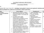 Plan pracy pedagoga specjalnego