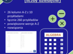Arytmetyka jednomianów (liczby dziesiętne) | matematyka, algebra | 26 kolumn