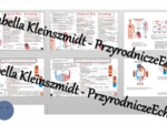 Minizestaw na temat „Krążenie krwi” – sketchnotka + karta pracy w power point + gratisowy link do prezentacji multimedialnej niekomercyjnej wykonanej w genial.ly do indywidualnego pobrania i użycia do celów niekomercyjnych. Biologia 7, „Układ krwionośny”