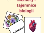 Memory -tajemnicje biologii