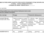 Arkusz oceny efektywnośći