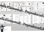 Minizestaw na temat „Pochodzenie człowieka”– sketchnotka + karta pracy w power point + gratisowy link do prezentacji multimedialnej niekomercyjnej wykonanej w genial.ly do indywidualnego pobrania i użycia do celów niekomercyjnych. Biologia 8, „Ewolucja”