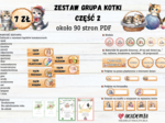 ZESTAW GRUPA KOTKI 2