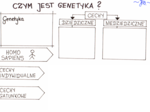 Czym jest genetyka? (karta pracy)