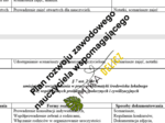 Plan rozwoju zawodowego nauczyciela wspomagającego
