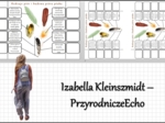 Notatka okienkowa „Rodzaje i budowa pióra” w pdf. „Ptaki-kręgowce zdolne do lotu”, Biologia 6 dział „Kręgowce stałocieplne”.