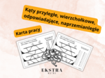 Kąty przyległe, wierzchołkowe, odpowiadające, naprzemianległe. Matematyka. Karta pracy. Klasy 5, 6, 7, 8. Zadanie.