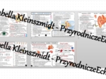 Zestaw sketchnotek – notatek do całego działu „Narządy zmysłów” wykonanych w power point do edycji. Biologia 7