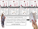 Broszurka/notatka/sketchnotka/wklejka/ściąga dla ucznia/przypomnienie dla nauczyciela w pdf – do stworzenia książeczki. Biologia 7 „Układ krążenia” – „Budowa i działanie serca ".