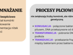 PAKIET: bakterie + protisty + grzyby + klasyfikacja organizmów 2 KLASA BIOLOGIA ROZSZERZONA