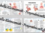 Zestaw sketchnotek – notatek do całego działu „Układ oddechowy” wykonanych w power point do edycji. Biologia 7