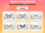 Motyle - kolorowanki (6 stron) PDF do druku