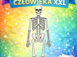 Szkielet człowieka XXL – plakat/układanka do wydruku (8 stron A4) PDF