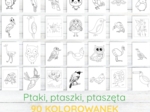Kolorowanka „Ptaszki” – 90 stron PDF do druku!