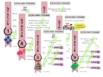 Stacje zadaniowe jako pomysł na lekcję - działania pisemne.