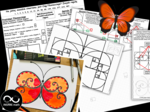 23 listopada, Dzień Fibonacciego. Fibonacci – Prostokąt i Spirala Fibonacciego. Projekt matematyczno-artystyczny Motylek Fibonacciego.