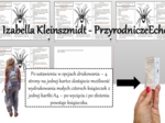 Broszurka/notatka/sketchnotka/wklejka/ściąga dla ucznia/przypomnienie dla nauczyciela w pdf. Biologia 6 „Stawonogi i mięczaki” – „Pajęczaki – stawonogi, które mają cztery pary odnóży”.