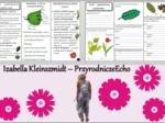 Minizestaw do tematu „Liść - wytwórnia pokarmu” – sketchnotka + karta pracy w pdf + gratisowy link do prezentacji multimedialnej niekomercyjnej wykonanej w genial.ly do indywidualnego pobrania i użycia do celów niekomercyjnych. Biologia 5, Dział „Tkanki 