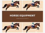 Horse / equestrian equipment. Jeździectwo
