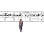 Zestaw kart pracy do działu „Ja i przyroda”. Karty pracy wykonane w power point – można edytowac. Przyroda 4, na podstawie wydawnictwa MAC