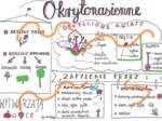 Okrytonasienne