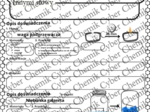 Karty pracy- Klasa 7. Chemia – Prawo zachowania masy