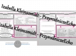 Minizestaw na temat „Wodorotlenki pierwiastków I grupy - wodorotlenek sodu i potasu” – sketchnotka + karta pracy w power point + gratisowy link do prezentacji multimedialnej niekomercyjnej wykonanej w genial.ly do indywidualnego pobrania i użycia do celó