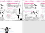Mini zestaw do tematu „Przegląd i znaczenie ptaków” – Biologia klasa 6 - sketchnotka i karta pracy w pdf + gratisowy link do prezentacji multimedialnej niekomercyjnej wykonanej w genial.ly do indywidualnego pobrania i użycia do celów niekomercyjnych. Bio