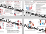 Sketchnotka - notatka „Krążenie krwi” wykonana w power point do edycji. Biologia 7; „Układ krążenia”