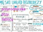 Klasa 7. Biologia. Męski układ rozrodczy.