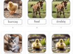 Baby animals- karty obrazkowe