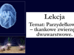 Klasa 6 - Parzydełkowce - prezentacja