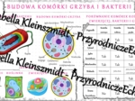 Sketchnotka - notatka „Budowa komórki grzyba i bakterii” wykonana w power point do edycji. Biologia 5; „Budowa i czynności życiowe organizmów”