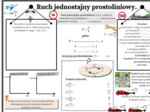 Ruch jednostajny prostoliniowy. Fizyka SP. Karta pracy
