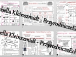 Zestaw sketchnotek – notatek do całego działu „Świat zwierząt” wykonanych w power point do edycji. Biologia 6