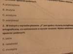 Egzamin ósmoklasisty - ortografia