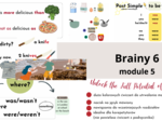 Brainy 6, unit 5, materiały dodatkowe uzupełniające podręcznik, was/were, there was/there were
