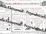 Sketchnotka - notatka „Tkanka nabłonkowa” wykonana w power point do edycji. Biologia 6; „Świat zwierząt”