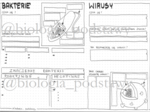 Klasa 5 - Bakterie i wirusy - karta pracy