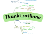 Tkanki roślinne - mapa myśli