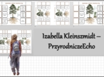 Notatki okienkowe „Budowa nagonasiennych”, „Budowa sosny pospolitej” w pdf. „Nagonasienne” w pdf. Biologia 5 dział „Różnorodność roślin”.