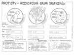 Klasa 5 - Różnorodność protistów - pakiet