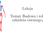 Klasa 7 - Budowa szkieletu osiowego - prezentacja